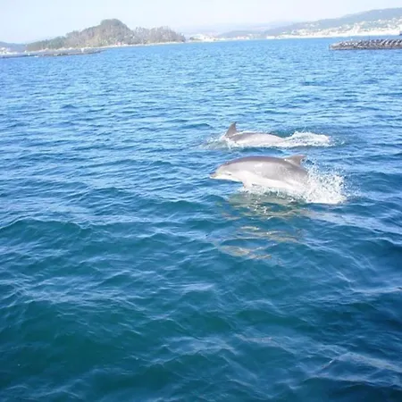 Rias Baixas - 1a Linea Playa * Raxo